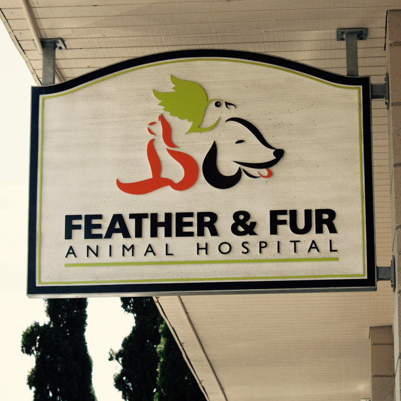 Feather & Fur Animal Hospital - Home